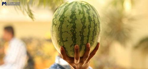 最近大瓜事件,揭秘明星隐私风波背后的真相