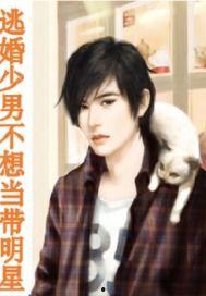 明星小说,明星小说中的璀璨人生